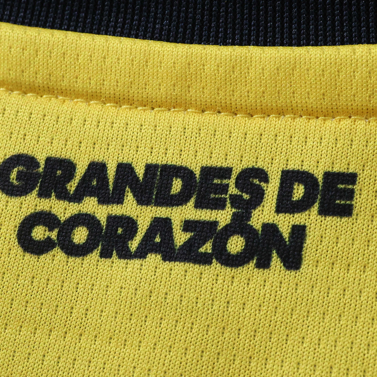 Club América Home Long Sleeve Jersey 2026/27 - photo 8