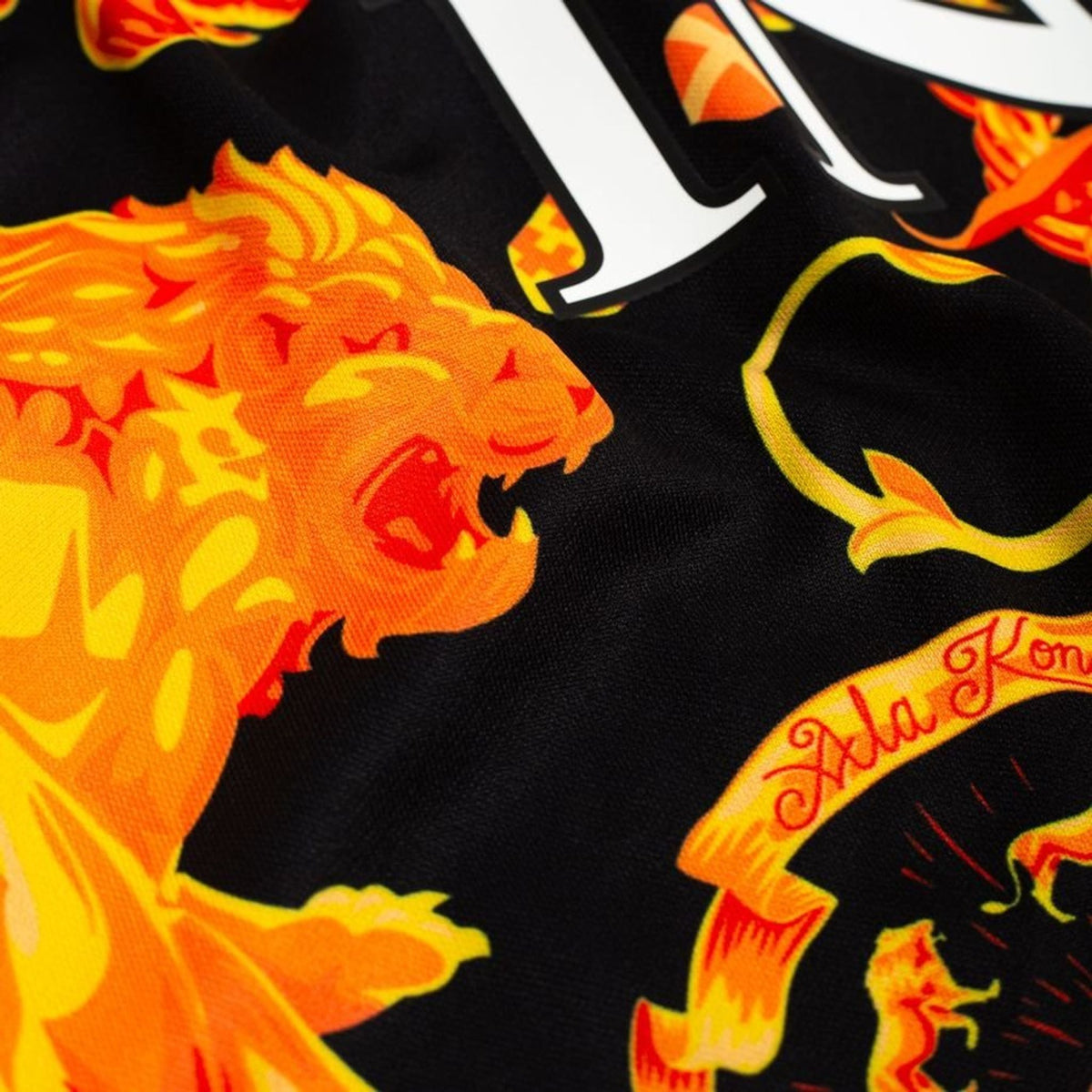 Netherlands Pre-Match Jersey 2026/27 - photo 7